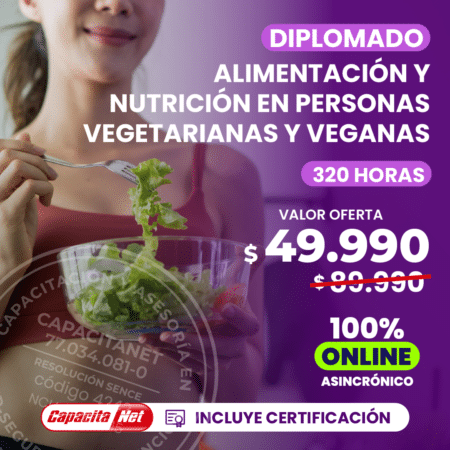 Diplomado alimentación y nutricion alt