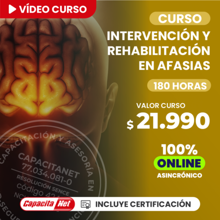 Curso de intervención y rehabilitación en afasias alt.